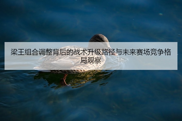 梁王组合调整背后的战术升级路径与未来赛场竞争格局观察